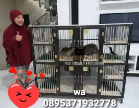 READY KANDANG KUCING SIAP KIRIM
