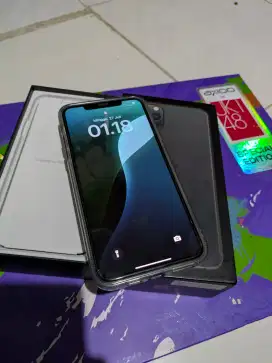 IPHONE 11 PRO MAX 64GB PRILOVED