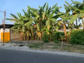 Dijual Tanah Pinggir Jalan