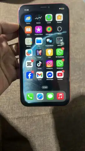 Iphone XR 64gb mulus