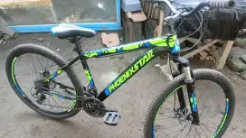 Phoenix Star MTB