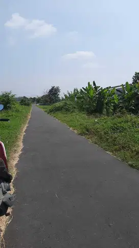 dijual tanah sawah super murah di delanggu dekat pabrik AQua