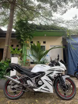 Ninja RR New 2012