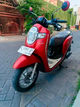 Scoopy Stylish 2018