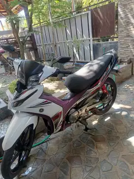 Jupiter z1 2013