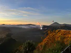 Lowongan Pembantu Khusus Anak