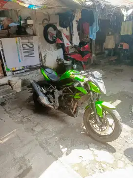 Ninja mono 2014