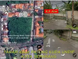 Tanah dekat Patung Kuda Undip Semarang (Dekat SMPN 24 & Perumahan SBI)