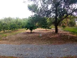 Dijual Tanah Kavling Kebun Kencana Jonggol 100m