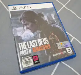 The Last Of Us Part 2 - BD PS5