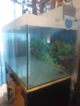 Tank Aquarium Murah Meriah