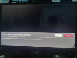 LG 28KTV430V 29 inch