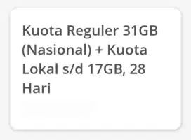 Kuota Internet XL Jumbo 31GB