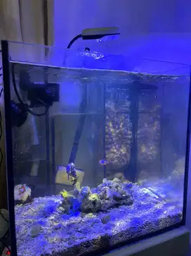 Aquarium laut fullset