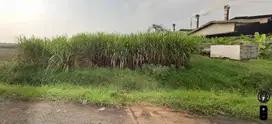 Tanah industri Wiringanom Gresik