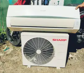 Ac Sharp 1/2 PK