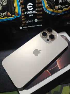 iPhone 16 Pro Max Mulus 256 Inter Fullset