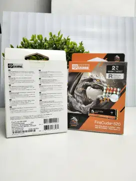 SSD nvme Seagate firecuda 2TB new