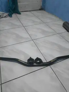 STANG PROTAPER & RAISER R15V3