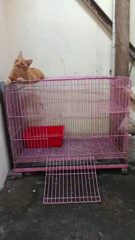 Kandang kucing 2 Lantai