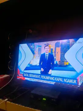 Tv polytron cinemax 24 inc normal