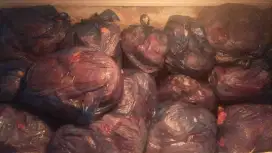 Jual Ayam Potong (Fresh)