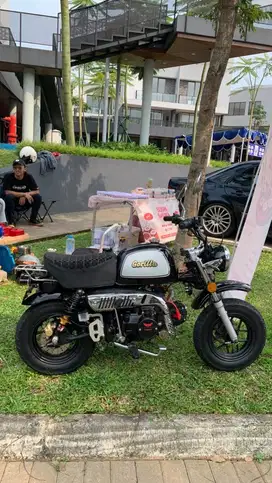 gazgas monkey gorilla rep honda