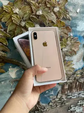 iPhone Xs Max Gold 256GB Inter All Operator