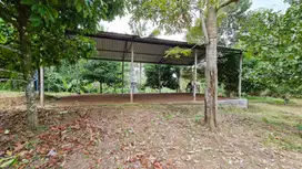 Tanah kebun aspek perumahan