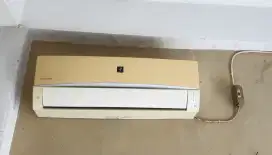 Ac sharp 1/2 pk wat 330