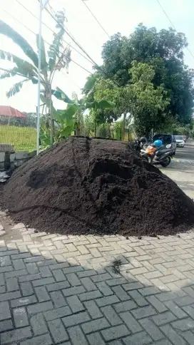 Suplay aneka pasir koraL&bata tempeL