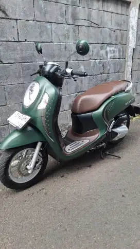 Honda scoopy stylish 2024