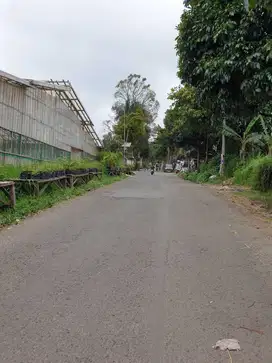 Dijual kavling mainroad Lembang asri 3,5jt permeter nego