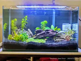 Aquarium 50x25x30 fullset murah abis edisi rugi