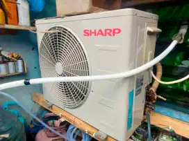 AC Sharp 1/2 PK lowwatt