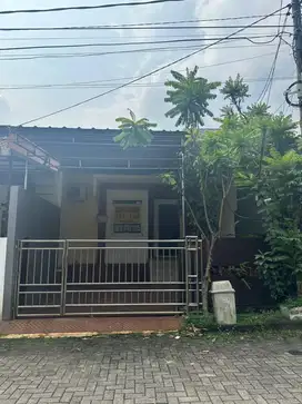 Disewakan rumah di Perumahan Alam Tajur Residence Blok G no 6. Bogor