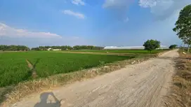 Tanah Sawah Zona Industri di Parangjoro Grogol Sukoharjo