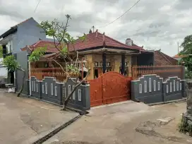 Disewakan Rumah Pusat Kota Singaraja belakang Kantor Bupati