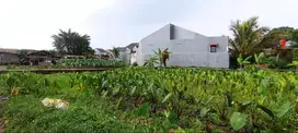 Kapling Ciomas SHM, Dekat Perumahan Casa Laladon; Promo Juli Murah