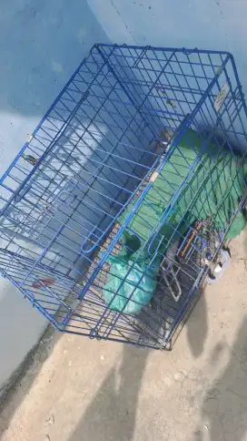 KANDANG KUCING BEKAS