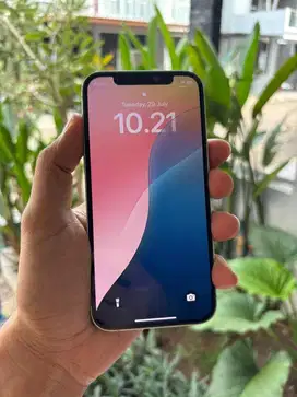 iPhone 12 128GB Green — Ex iBox, Kondisi Super Mulus!