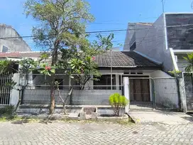 Rumah Sutorejo View City