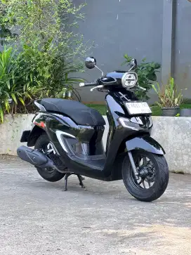 Honda Stylo th 2024