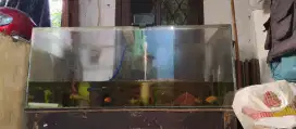 Akuarium 100x40x40