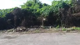 TANAH MURAH GUNUNG CATUR JLN 8 MTR HOTMIXX
