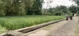 Tanah murah Mendalanwangi wagir malang 525m shm no perantara murah bu