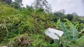 Tanah kebun alpukat hargs 4 jt permeter