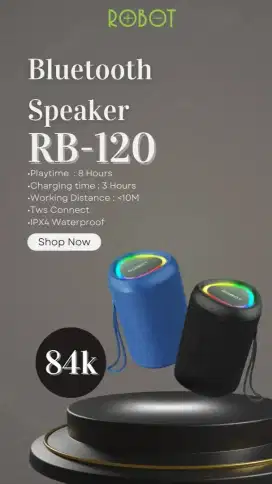 Speaker Robot Rb120