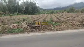 Dijual Tanah Kosong Tanjung Barus - Berastagi
