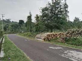 DIJUAL Cepat Tanah Harga Dimurahkan, Tanah Subur Untuk Perkebunan, Rum